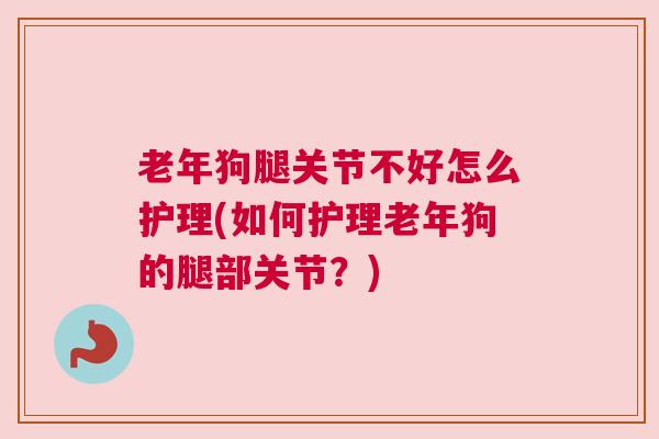 老年狗腿关节不好怎么护理(如何护理老年狗的腿部关节？)