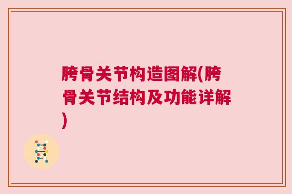 胯骨关节构造图解(胯骨关节结构及功能详解) 胯骨关节构造图解(胯骨关节结构及功能详解)