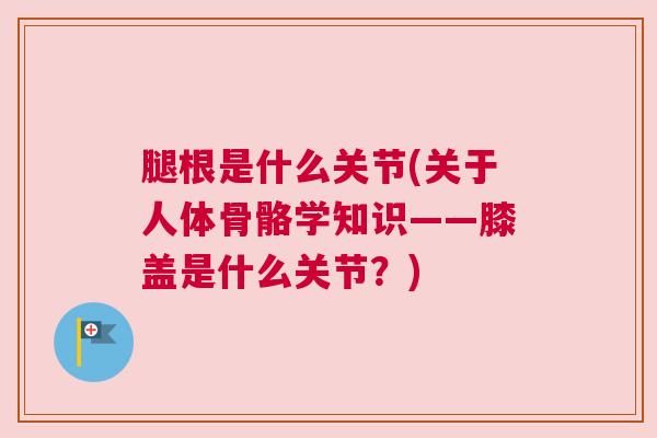 腿根是什么关节(关于人体骨骼学知识——膝盖是什么关节？)