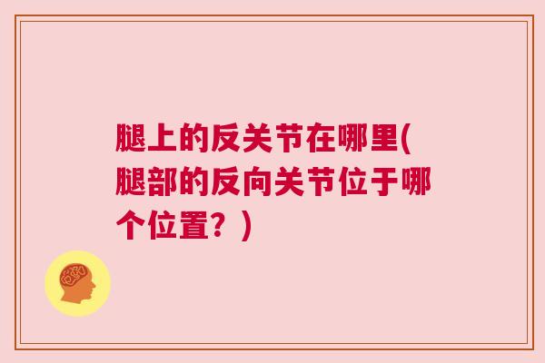 腿上的反关节在哪里(腿部的反向关节位于哪个位置?)