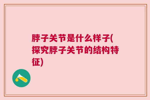脖子关节是什么样子(探究脖子关节的结构特征) 脖子关节是什么样子(探究脖子关节的结构特征)
