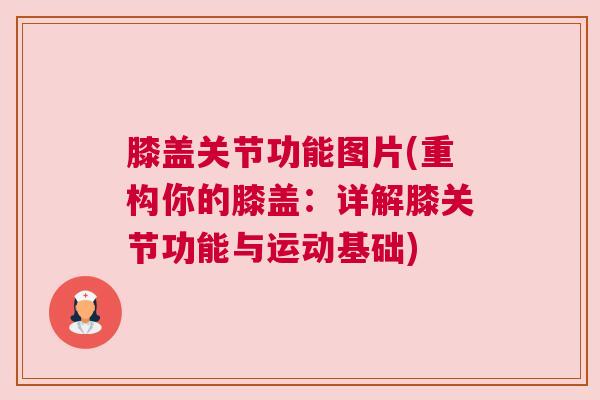 膝盖关节功能图片(重构你的膝盖：详解膝关节功能与运动基础)