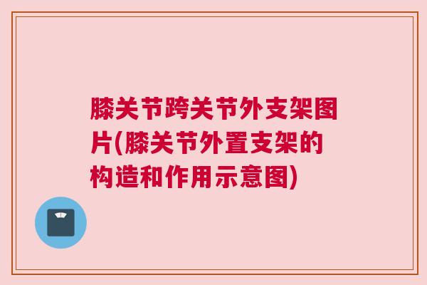 膝关节跨关节外支架图片(膝关节外置支架的构造和作用示意图)