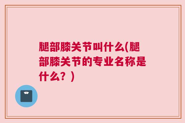 腿部膝关节叫什么(腿部膝关节的专业名称是什么?)