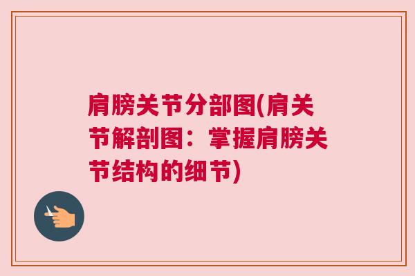 肩膀关节分部图(肩关节解剖图:掌握肩膀关节结构的细节)