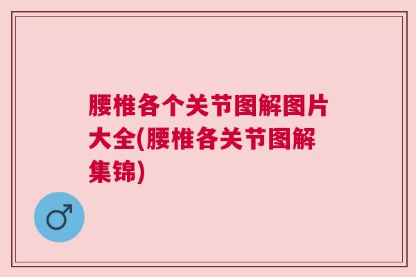 腰椎各个关节图解图片大全(腰椎各关节图解集锦) 腰椎各个关节图解图片大全(腰椎各关节图解集锦)