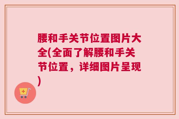 腰和手关节位置图片大全(全面了解腰和手关节位置,详细图片呈现) 腰和手关节位置图片大全(全面了解腰和手关节位置,详细图片呈现)