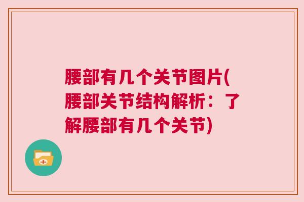 腰部有几个关节图片(腰部关节结构解析:了解腰部有几个关节)