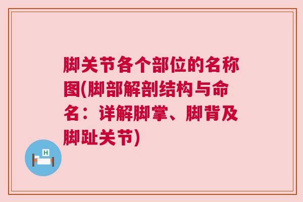 脚关节各个部位的名称图(脚部解剖结构与命名：详解脚掌、脚背及脚趾关节)
