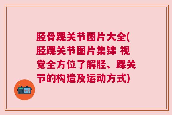 胫骨踝关节图片大全(胫踝关节图片集锦 视觉全方位了解胫、踝关节的构造及运动方式) 胫骨踝关节图片大全(胫踝关节图片集锦 视觉全方位了解胫、踝关节的构造及运动方式)
