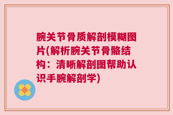 腕关节骨质解剖模糊图片(解析腕关节骨骼结构：清晰解剖图帮助认识手腕解剖学)