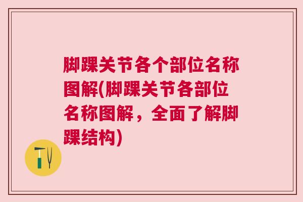 脚踝关节各个部位名称图解(脚踝关节各部位名称图解，全面了解脚踝结构)