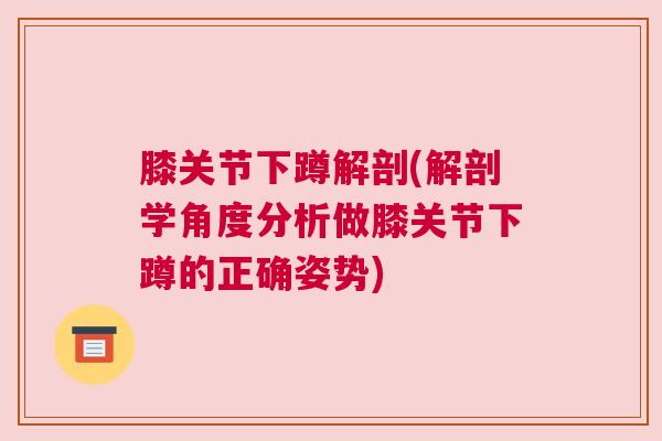 膝关节下蹲解剖(解剖学角度分析做膝关节下蹲的正确姿势)