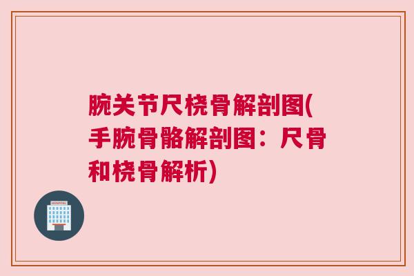 腕关节尺桡骨解剖图(手腕骨骼解剖图：尺骨和桡骨解析)