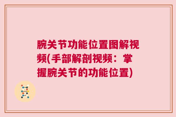 腕关节功能位置图解视频(手部解剖视频：掌握腕关节的功能位置)