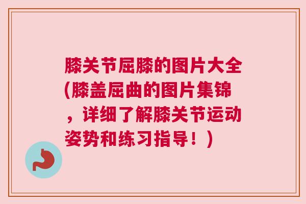 膝关节屈膝的图片大全(膝盖屈曲的图片集锦,详细了解膝关节运动姿势和练习指导!)
