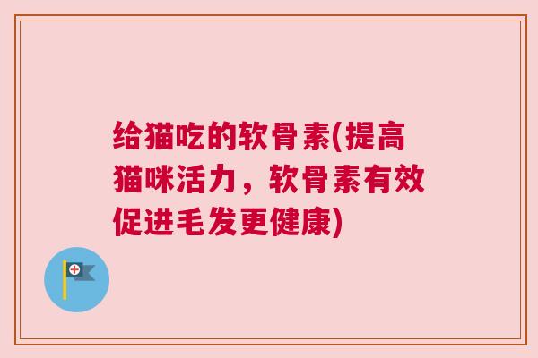 给猫吃的软骨素(提高猫咪活力,软骨素有效促进毛发更健康)