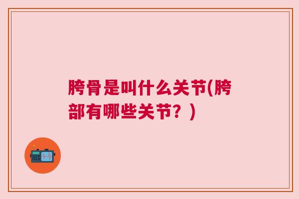 胯骨是叫什么关节(胯部有哪些关节?)