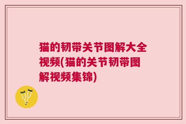 猫的韧带关节图解大全视频(猫的关节韧带图解视频集锦) 猫的韧带关节图解大全视频(猫的关节韧带图解视频集锦)