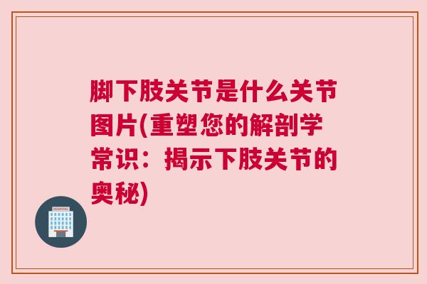脚下肢关节是什么关节图片(重塑您的解剖学常识:揭示下肢关节的奥秘)