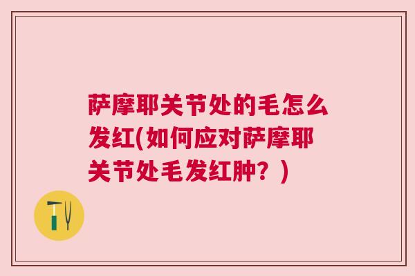 萨摩耶关节处的毛怎么发红(如何应对萨摩耶关节处毛发红肿？)