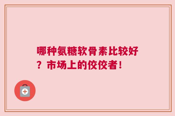 哪种氨糖软骨素比较好？市场上的佼佼者！