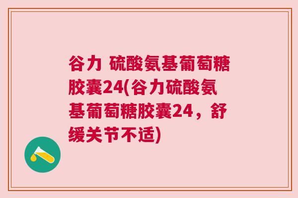 谷力 硫酸氨基葡萄糖胶囊24(谷力硫酸氨基葡萄糖胶囊24,舒缓关节不适)