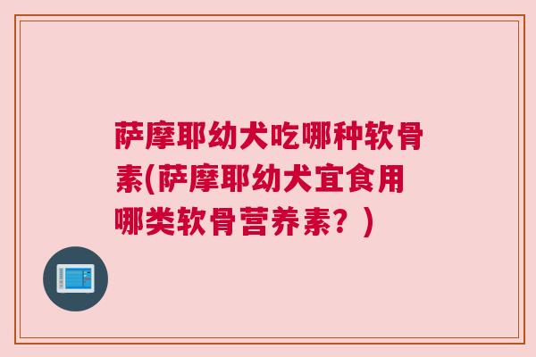 萨摩耶幼犬吃哪种软骨素(萨摩耶幼犬宜食用哪类软骨营养素?) 萨摩耶幼犬吃哪种软骨素(萨摩耶幼犬宜食用哪类软骨营养素?)