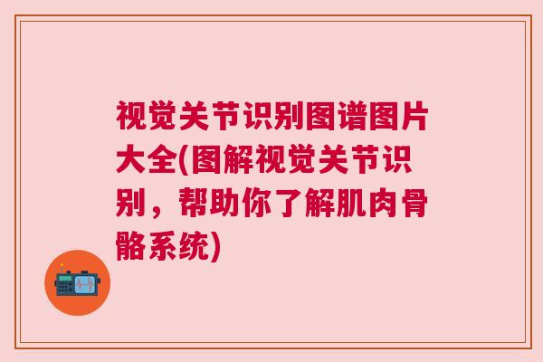 视觉关节识别图谱图片大全(图解视觉关节识别,帮助你了解肌肉骨骼系统)