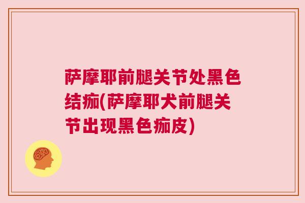 萨摩耶前腿关节处黑色结痂(萨摩耶犬前腿关节出现黑色痂皮) 萨摩耶前腿关节处黑色结痂(萨摩耶犬前腿关节出现黑色痂皮)