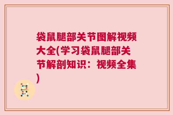 袋鼠腿部关节图解视频大全(学习袋鼠腿部关节解剖知识:视频全集) 袋鼠腿部关节图解视频大全(学习袋鼠腿部关节解剖知识:视频全集)