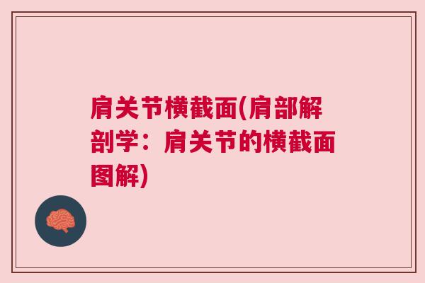 肩关节横截面(肩部解剖学:肩关节的横截面图解)
