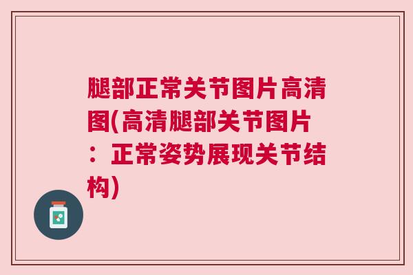 腿部正常关节图片高清图(高清腿部关节图片:正常姿势展现关节结构) 腿部正常关节图片高清图(高清腿部关节图片:正常姿势展现关节结构)