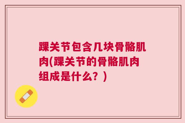 踝关节包含几块骨骼肌肉(踝关节的骨骼肌肉组成是什么?)
