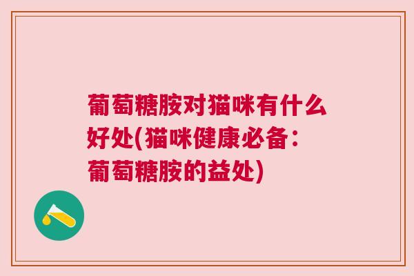 葡萄糖胺对猫咪有什么好处(猫咪健康必备:葡萄糖胺的益处)