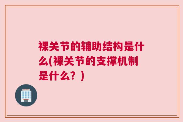 裸关节的辅助结构是什么(裸关节的支撑机制是什么?) 裸关节的辅助结构是什么(裸关节的支撑机制是什么?)