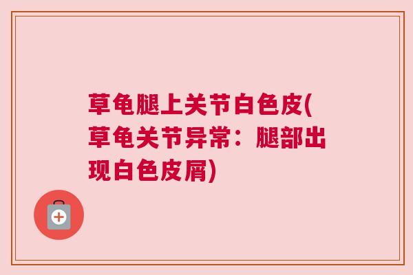 草龟腿上关节白色皮(草龟关节异常:腿部出现白色皮屑) 草龟腿上关节白色皮(草龟关节异常:腿部出现白色皮屑)