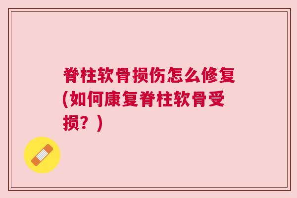 脊柱软骨损伤怎么修复(如何康复脊柱软骨受损?) 脊柱软骨损伤怎么修复(如何康复脊柱软骨受损?)