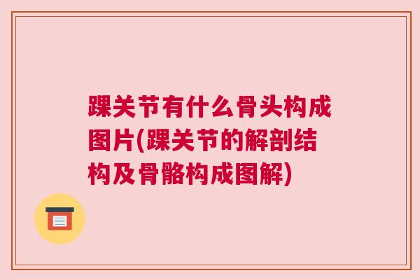 踝关节有什么骨头构成图片(踝关节的解剖结构及骨骼构成图解)