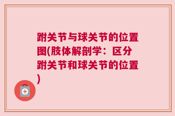 跗关节与球关节的位置图(肢体解剖学:区分跗关节和球关节的位置) 跗关节与球关节的位置图(肢体解剖学:区分跗关节和球关节的位置)