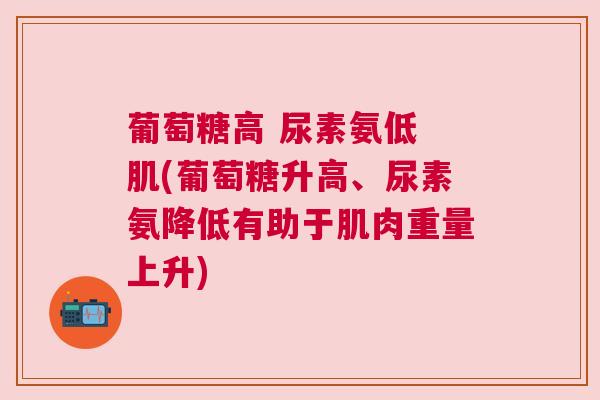 葡萄糖高 尿素氨低 肌(葡萄糖升高、尿素氨降低有助于肌肉重量上升) 葡萄糖高 尿素氨低 肌(葡萄糖升高、尿素氨降低有助于肌肉重量上升)