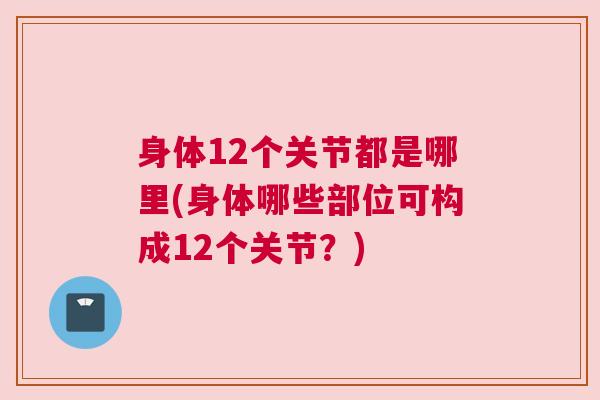 身体12个关节都是哪里(身体哪些部位可构成12个关节？)