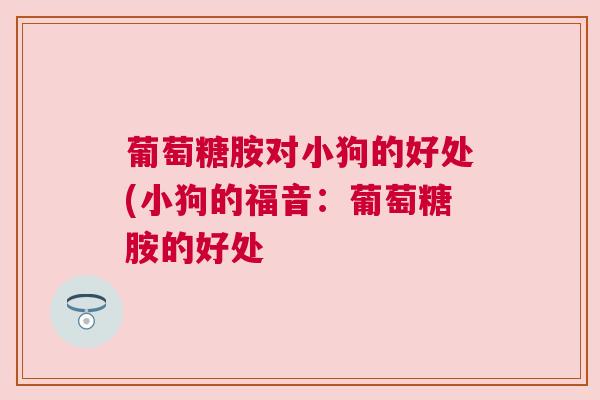 葡萄糖胺对小狗的好处(小狗的福音:葡萄糖胺的好处 葡萄糖胺对小狗的好处(小狗的福音:葡萄糖胺的好处