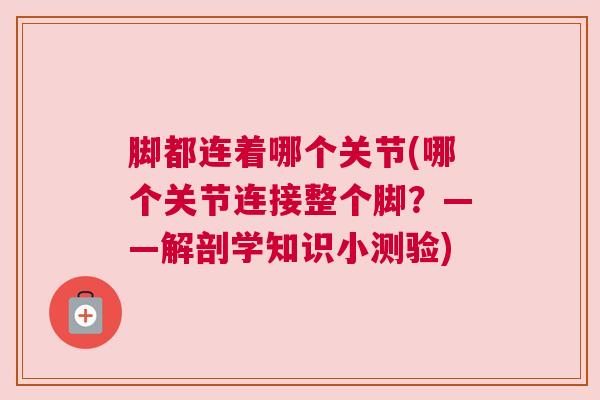 脚都连着哪个关节(哪个关节连接整个脚?——解剖学知识小测验)