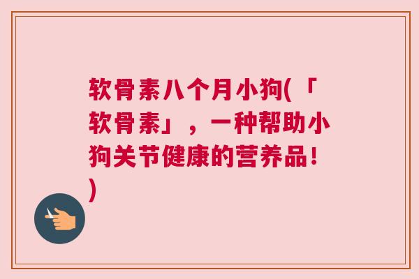 软骨素八个月小狗(「软骨素」,一种帮助小狗关节健康的营养品!)