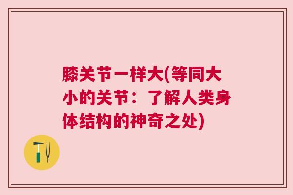 膝关节一样大(等同大小的关节:了解人类身体结构的神奇之处)