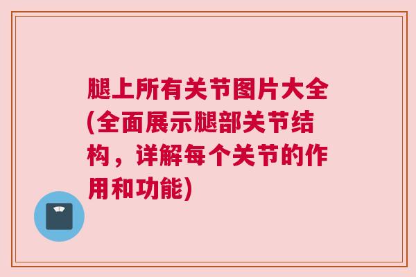 腿上所有关节图片大全(全面展示腿部关节结构,详解每个关节的作用和功能) 腿上所有关节图片大全(全面展示腿部关节结构,详解每个关节的作用和功能)