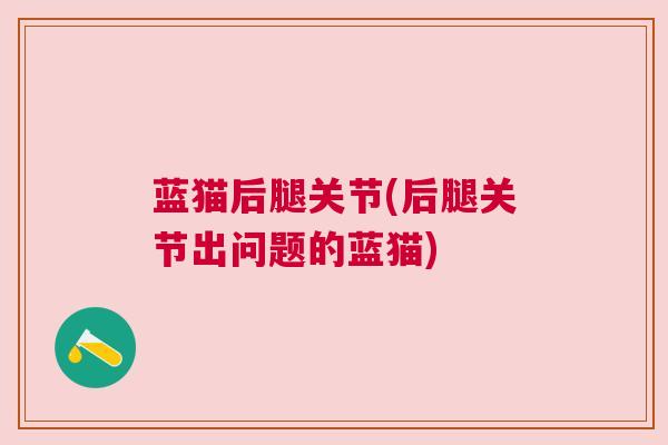 蓝猫后腿关节(后腿关节出问题的蓝猫) 蓝猫后腿关节(后腿关节出问题的蓝猫)
