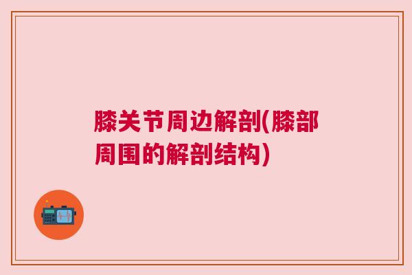 膝关节周边解剖(膝部周围的解剖结构)