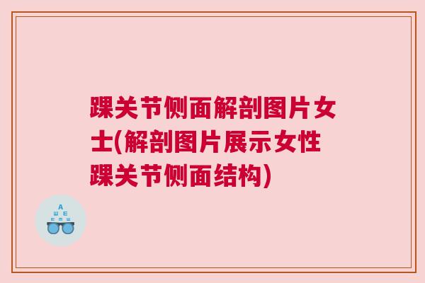 踝关节侧面解剖图片女士(解剖图片展示女性踝关节侧面结构) 踝关节侧面解剖图片女士(解剖图片展示女性踝关节侧面结构)
